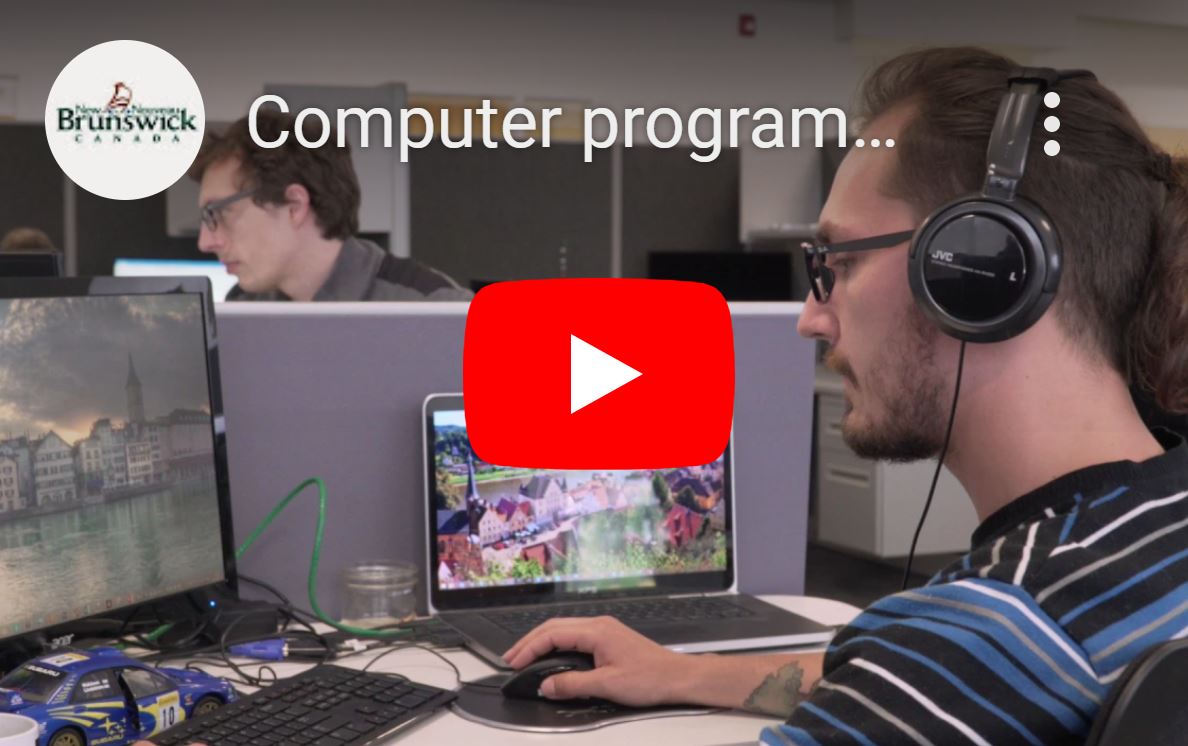 Computer programmers and interactive media developers
