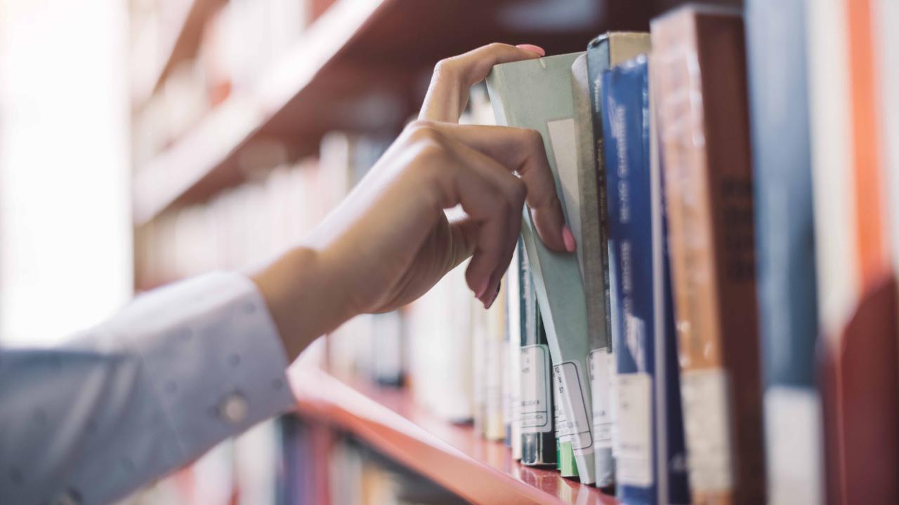 Library and public archive technicians