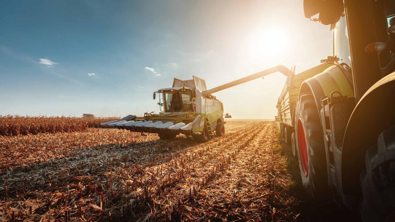 Specialized livestock workers and farm machinery operators