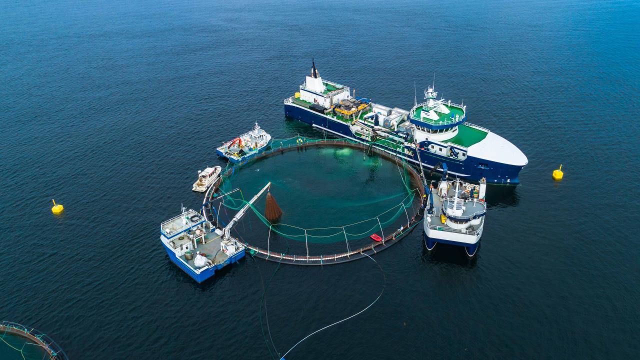 Aquaculture and marine harvest labourers