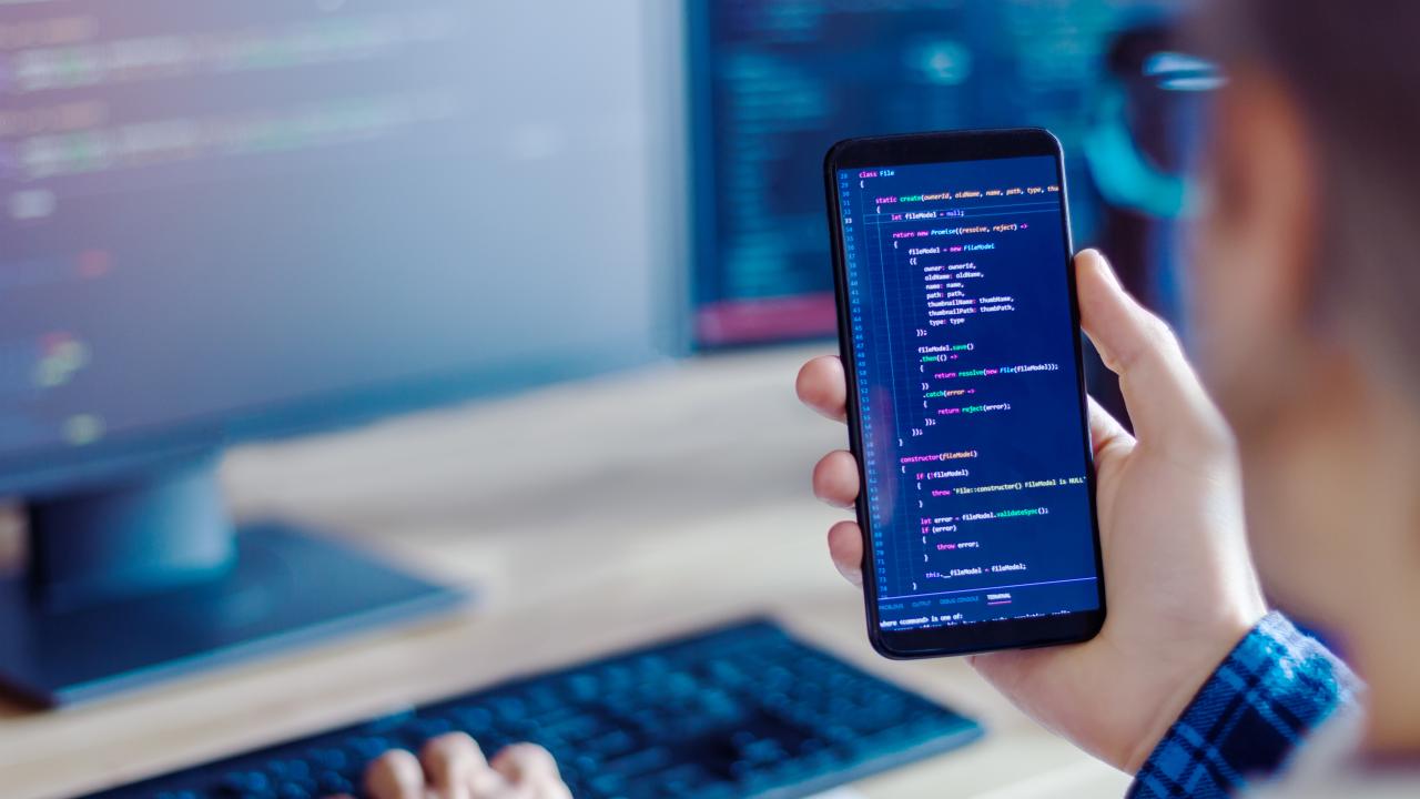 Software developers and programmers