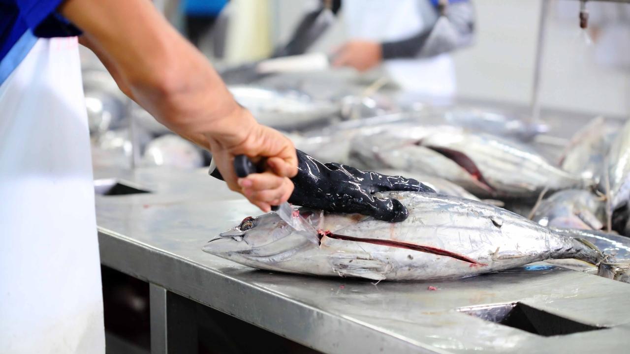 Fish and seafood plant workers