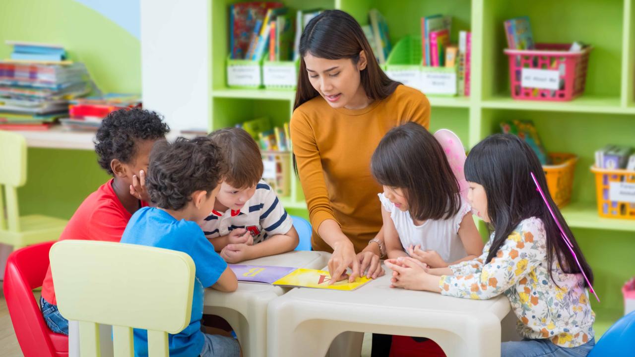 Elementary school and kindergarten teachers