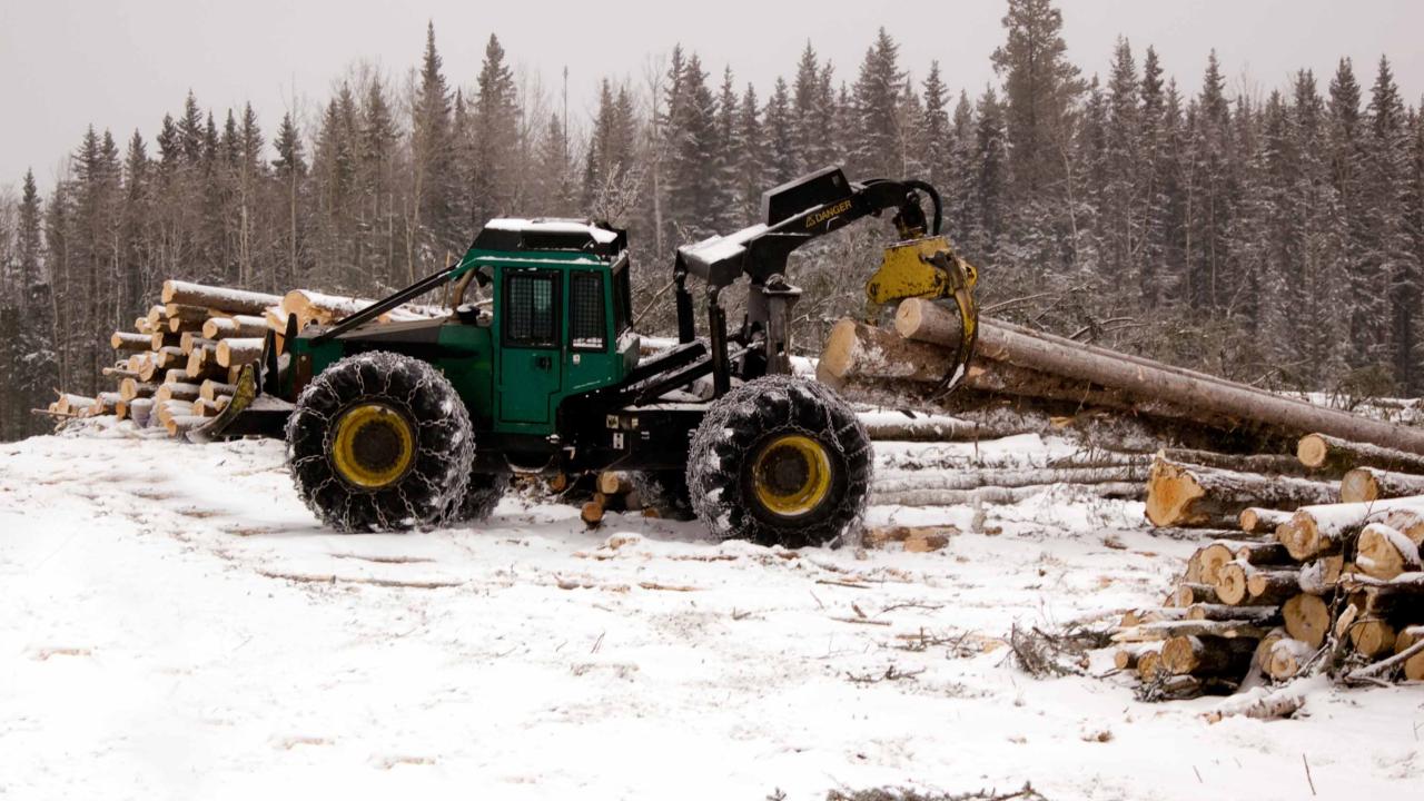 Forestry workers