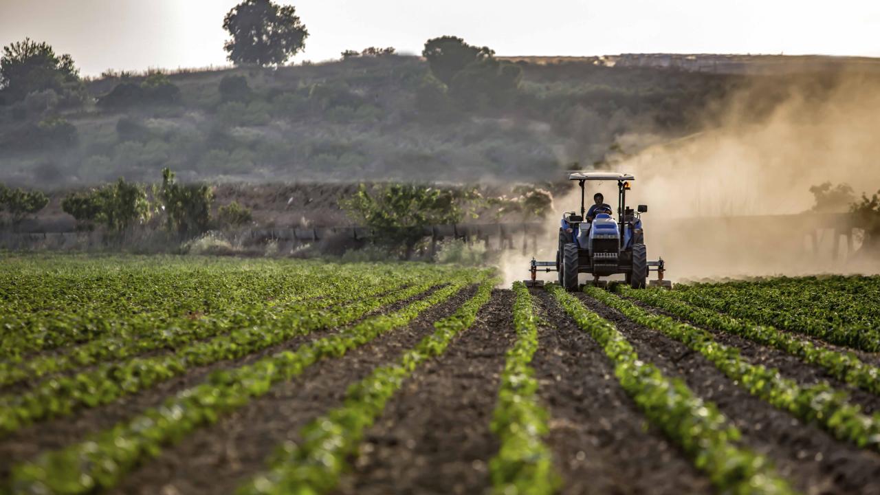 General farm workers