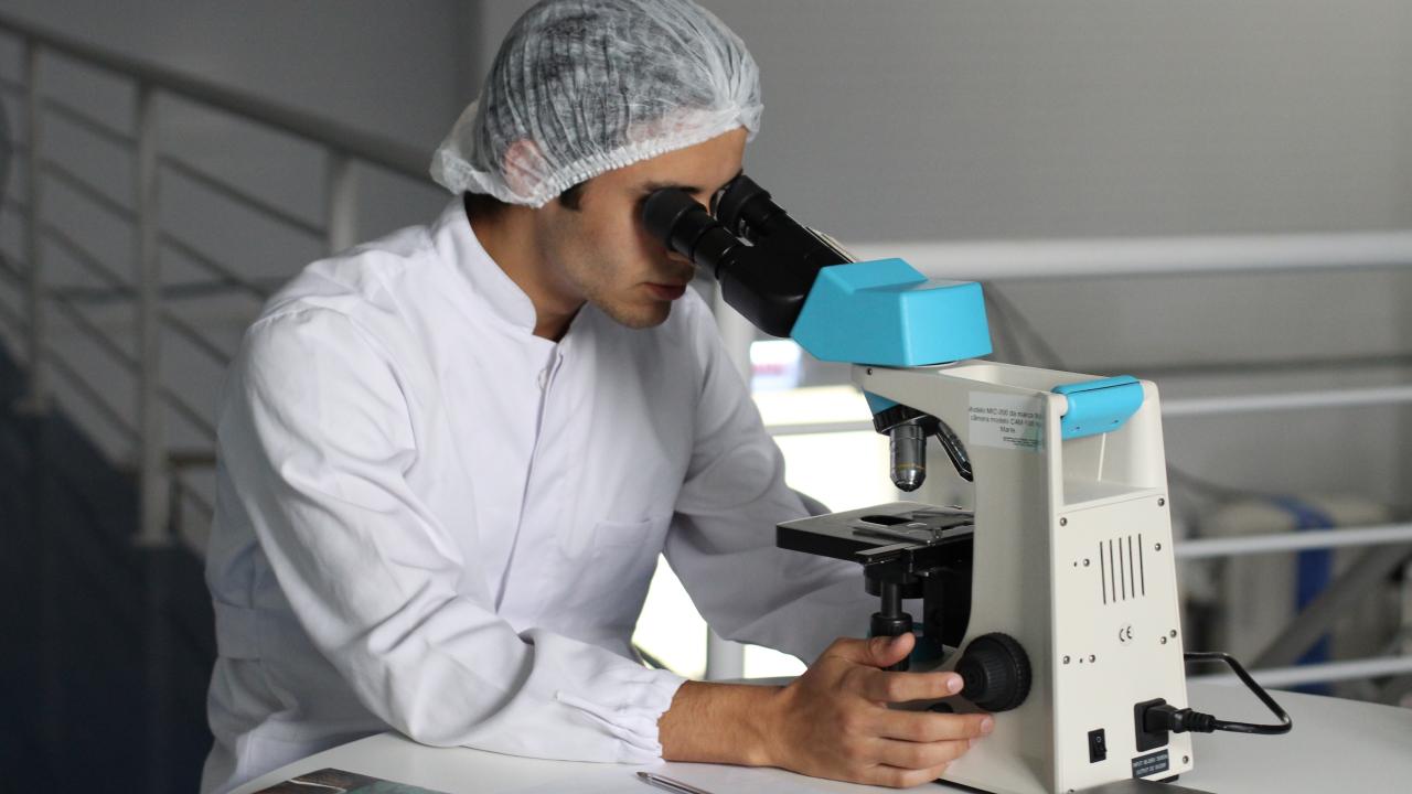 Medical laboratory technicians and pathologists' assistants