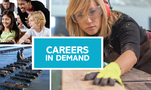 Careers in Demand