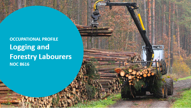 Logging Labourers