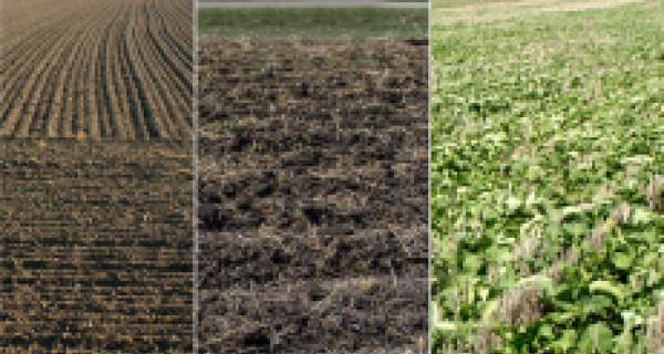 Conservation Tillage