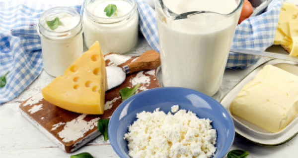 Dairy in Your Diet