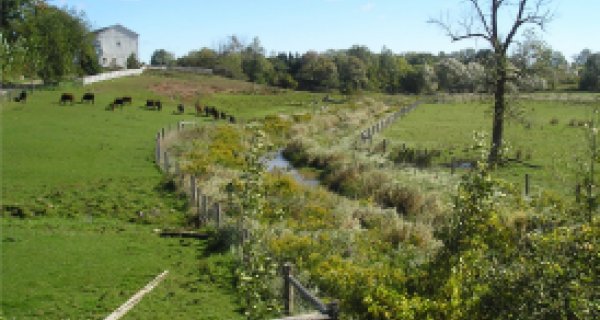 Environmental Farm Plans