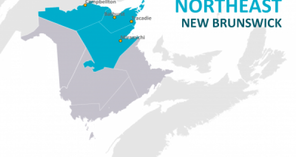 Northeast Regional Profile (Full Report)