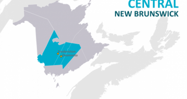 Central Regional Profile (Full Report)