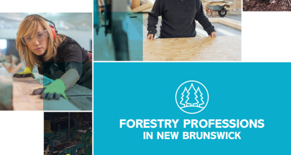 Forestry Brochure