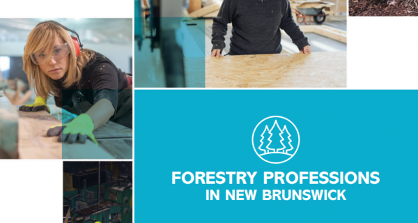 Careers in Forestry