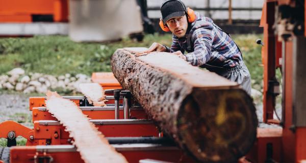 Careers in Forestry