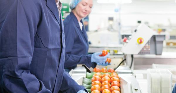 Manufacturing and Processing | NBjobs.ca