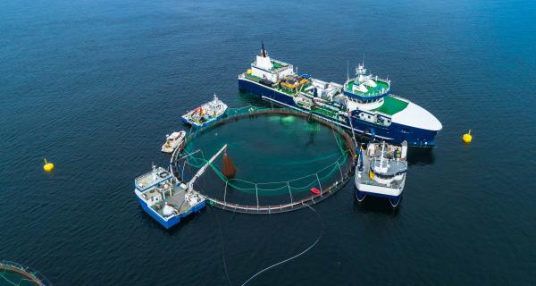 Aquaculture and Marine Harvest Labourers