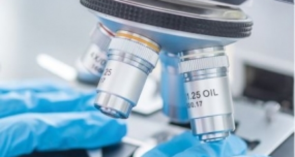 Medical Laboratory Technologists and Technicians NBjobs.ca
